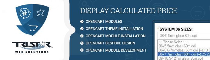 Display Calculated Price